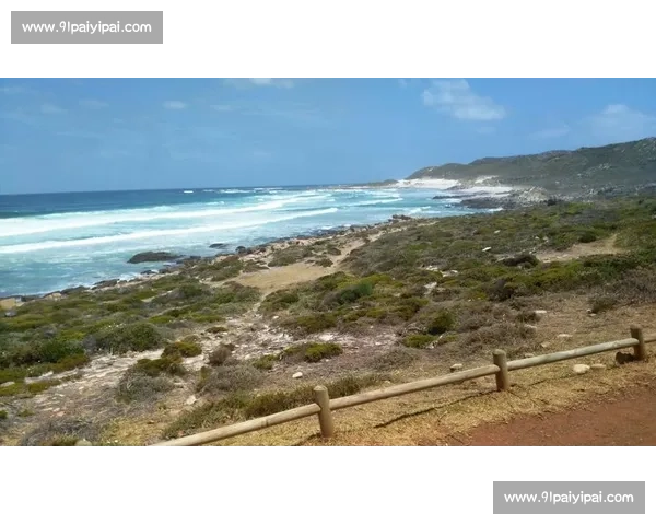 意甲足球联赛战术风格解析:技术与防守的完美平衡 - 副本 (2) - 副本
